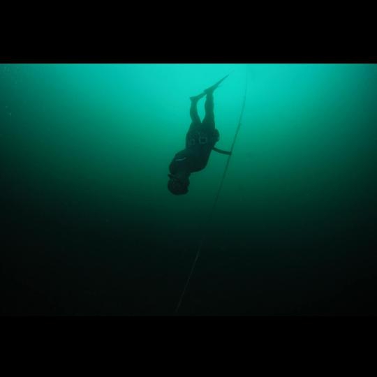 Serbest Dalış ve Zıpkın Eğitimleri